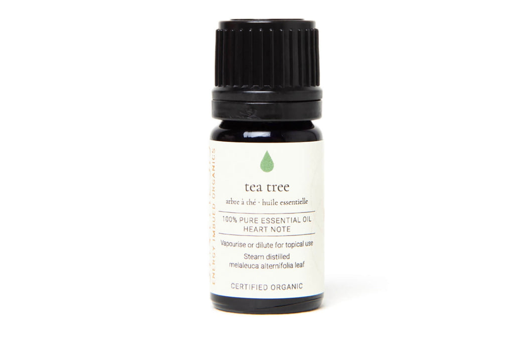 Synthesis Tea Tree – Certified Organic Essential Oil